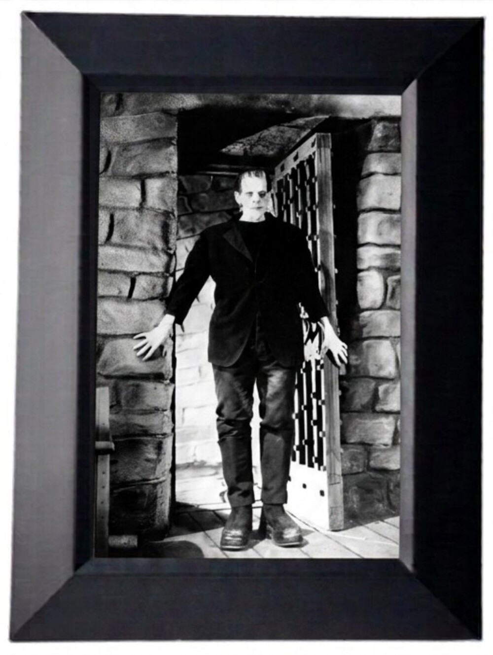 Frankenstein Mary Shelly Vintage Horror Cult classic antique rockabilly punk art